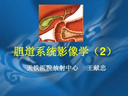 胆系主要疾病