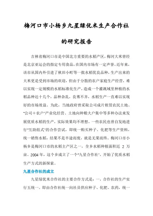 梅河口市小杨乡九星绿优米生产合作社的研究报告