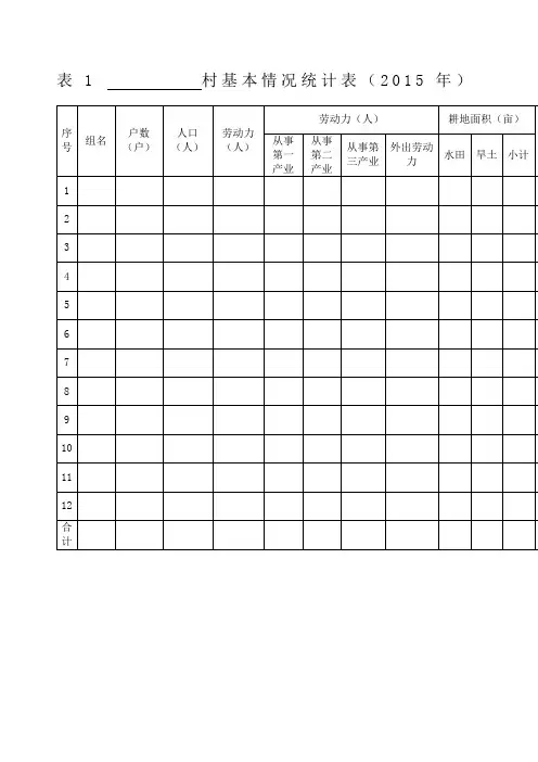 农村调查资料统计表