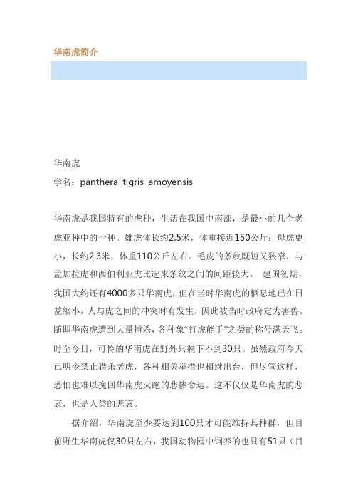 最新华南虎简介