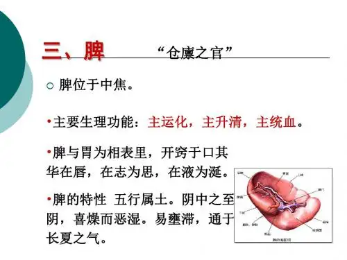 中医基础脾肝肾ppt课件