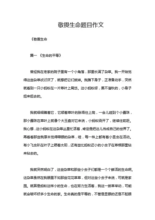 敬畏生命题目作文