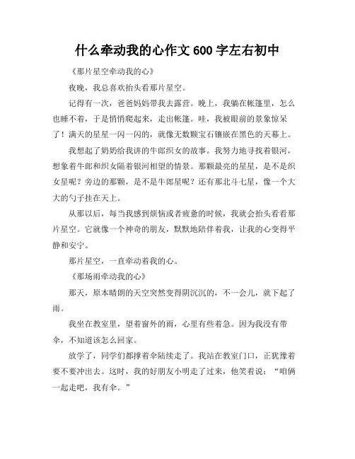 什么牵动我的心作文600字左右初中