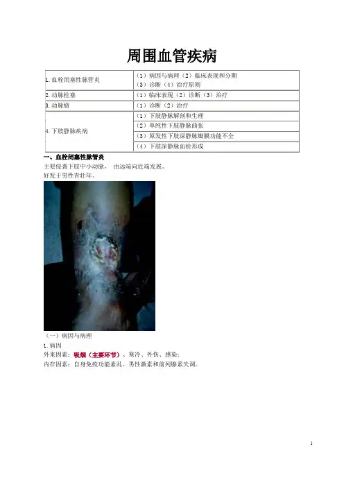 周围血管疾病