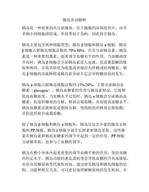 胰岛名词解释