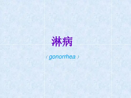 皮肤性病学课件：淋病