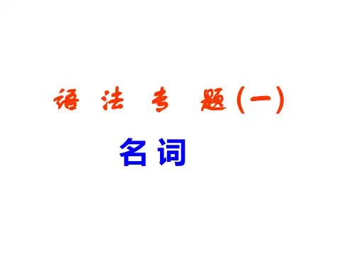 英语名词语法专题  ppt课件
