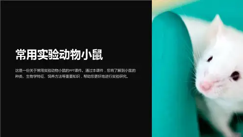 《常用实验动物小鼠》课件