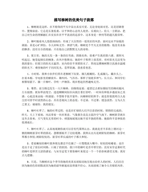 描写柳树的优美句子段落