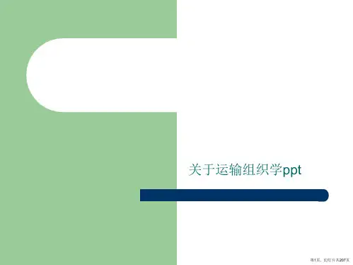 运输组织学ppt课件