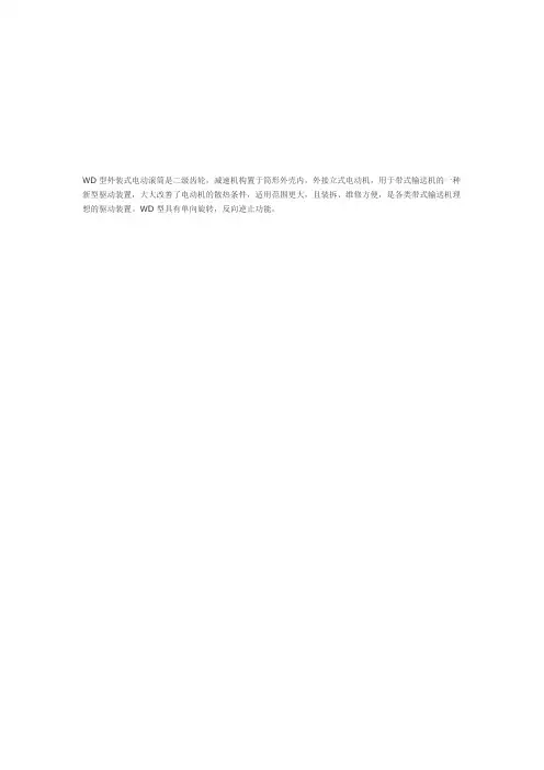 WD外置型电动滚筒