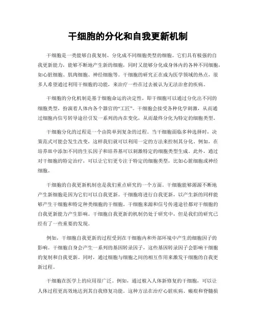 干细胞的分化和自我更新机制