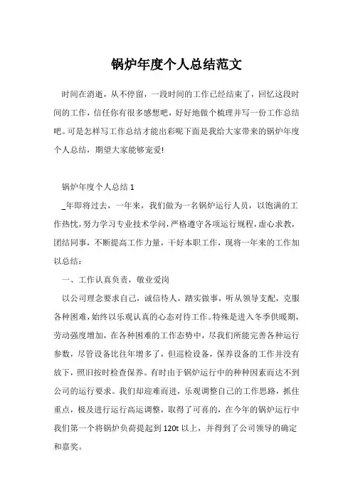 (个人工作总结)锅炉年度个人总结范文