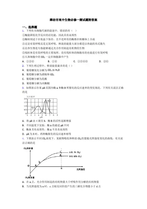 潍坊市高中生物必修一测试题附答案