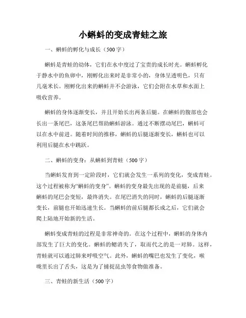 小蝌蚪的变成青蛙之旅