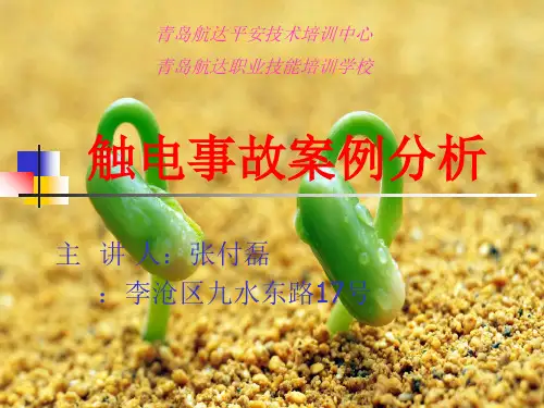 触电事故案例分析幻灯片PPT