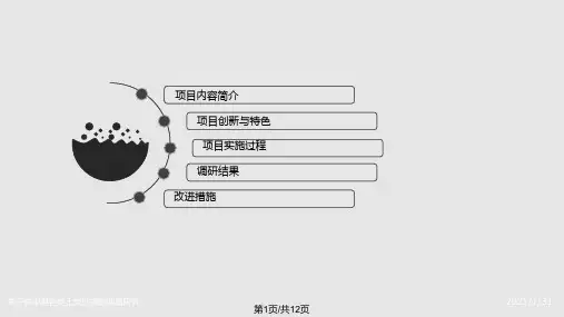 项目结项答辩PPT课件