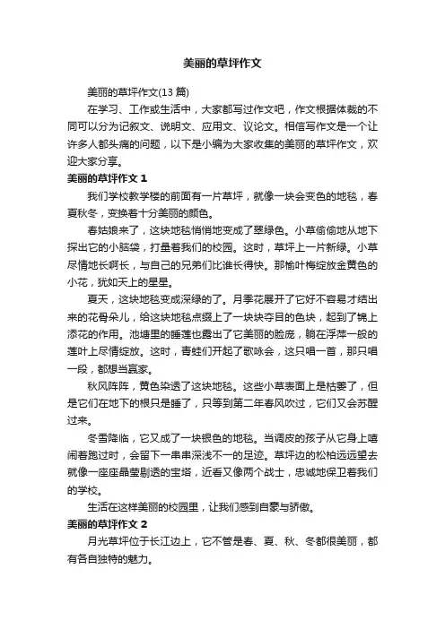 美丽的草坪作文(13篇)