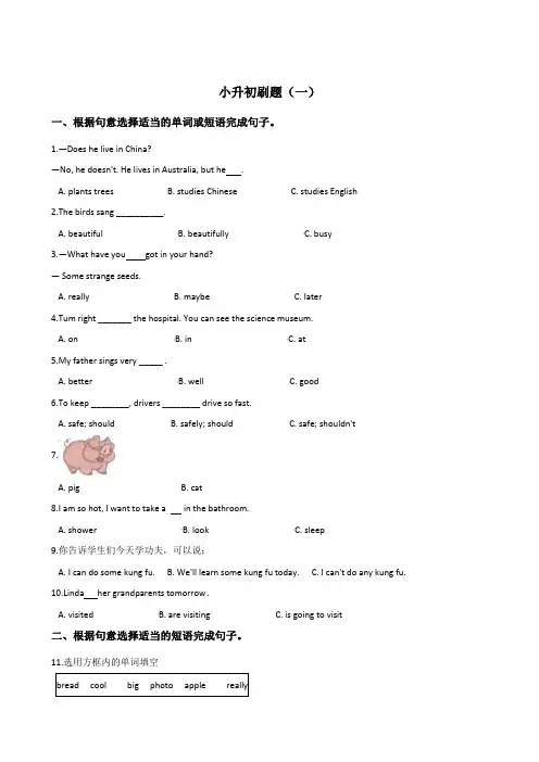 六年级下册英语试题--小升初刷题(一) 人教 (PEP)2014秋  含答案