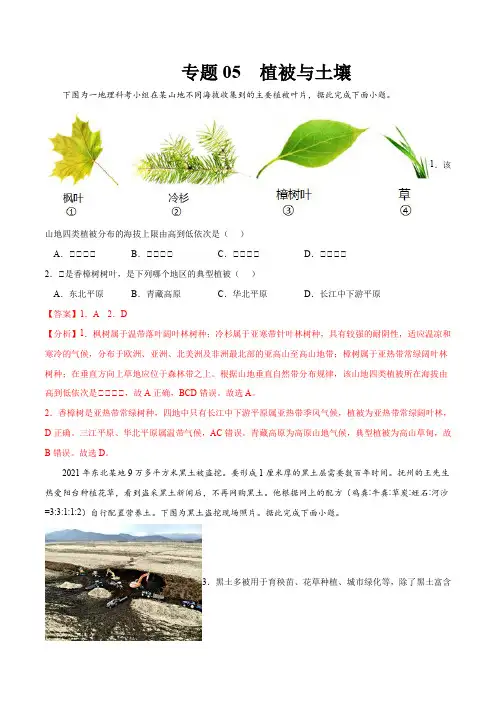 2023年高考等级考地理一轮复习一题多练(基础+能力+素养)专题 植被与土壤(讲解版)
