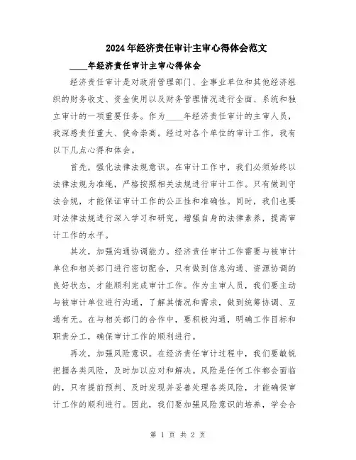 2024年经济责任审计主审心得体会范文