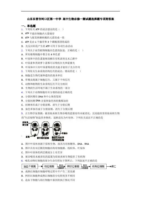 山东东营市河口区第一中学 高中生物必修一测试题选择题专项附答案