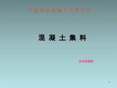 混凝土集料ppt课件