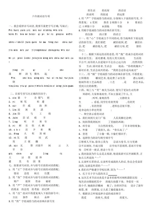 六年级词语专项