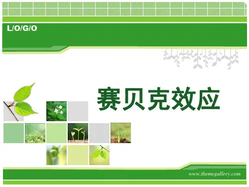 塞贝克效应