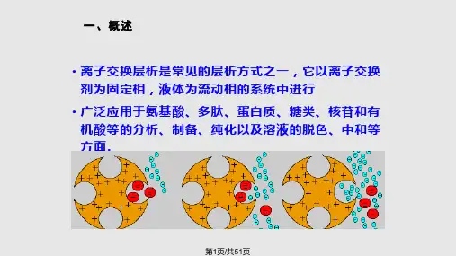 离子交换层析PPT课件