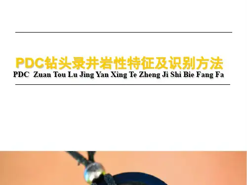 岩性特征及识别