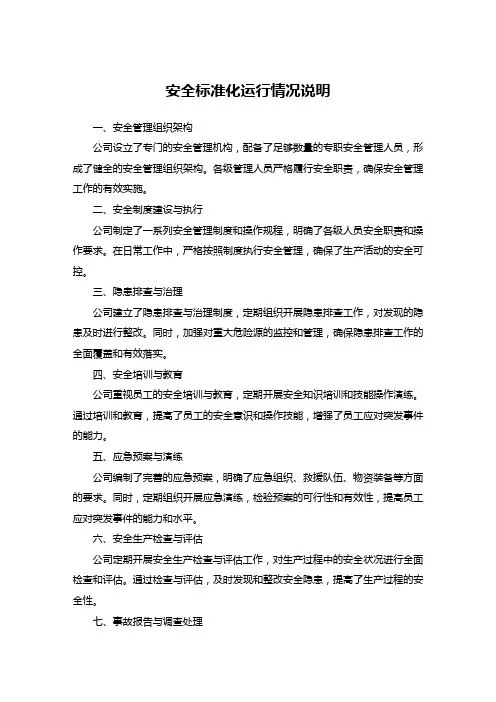 安全标准化运行情况说明