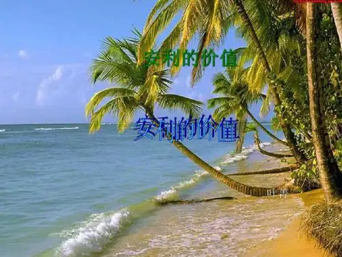 安利的价值