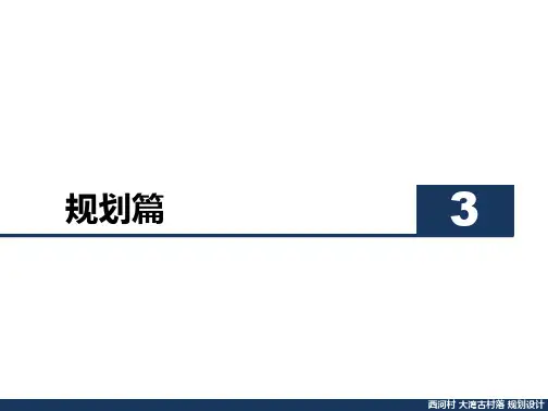 西河村大湾古村落规划设计--规划  ppt课件
