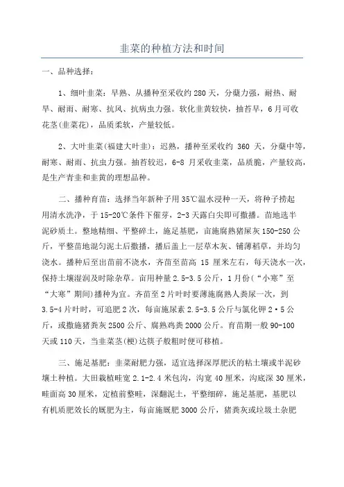 韭菜的种植方法和时间