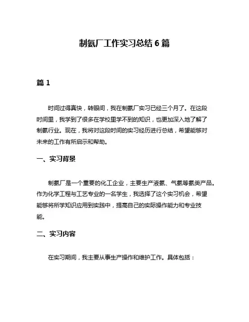 制氨厂工作实习总结6篇