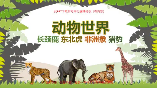 认识动物PPT课件