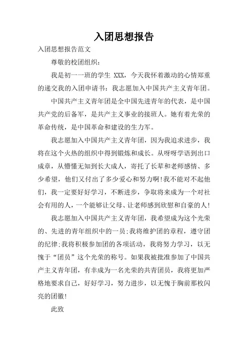 入团思想报告