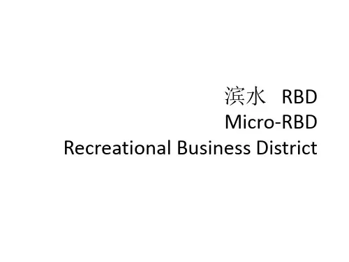 滨水RBD案例与借鉴 共20页