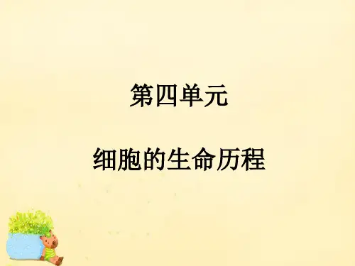 高考生物一轮复习-第四单元 细胞的生命历程 第1讲 细胞的增殖课件(必修1)