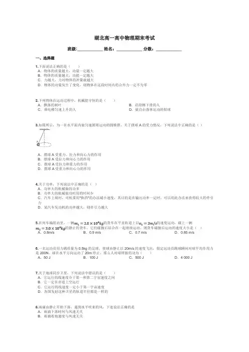湖北高一高中物理期末考试带答案解析
