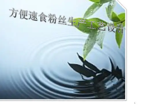 方便速食粉丝生产工艺设计ppt课件