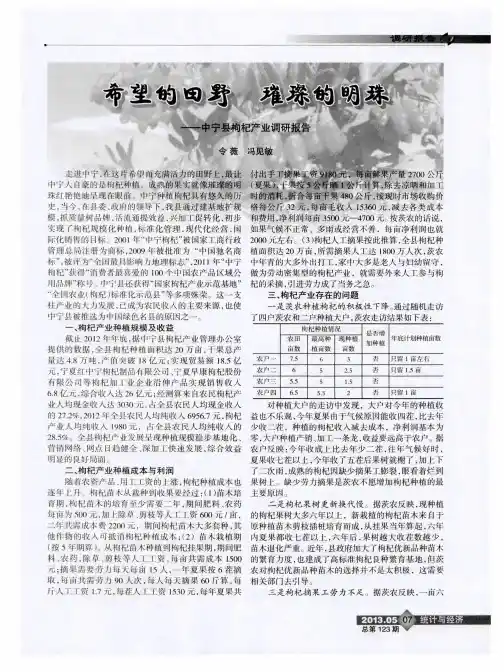 中宁县枸杞产业调研报告——中宁县枸杞产业调研报告