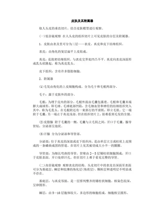 皮肤及其附属器