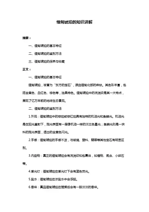 缅甸琥珀的知识讲解