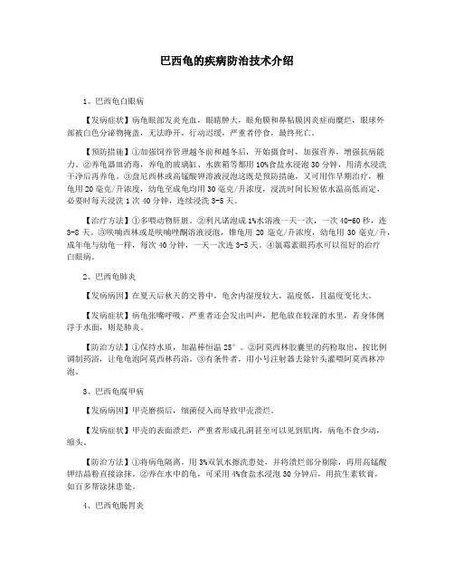 巴西龟的疾病防治技术介绍