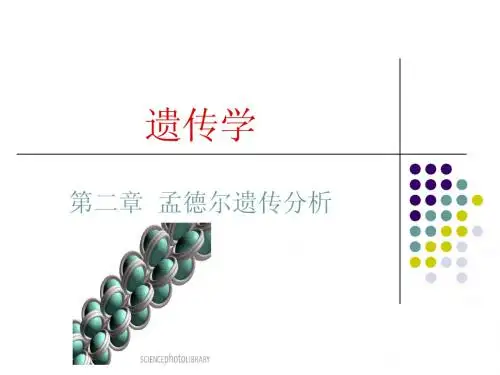 第二章孟德尔遗传定律
