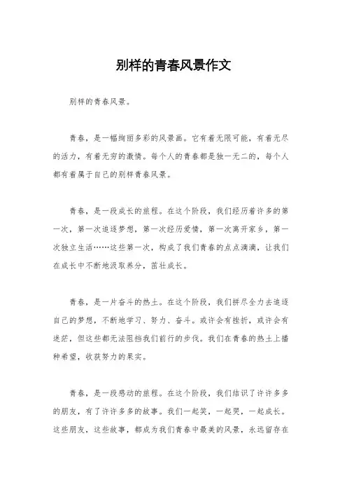 别样的青春风景作文