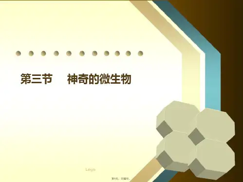 14.3《神奇的微生物》ppt课件