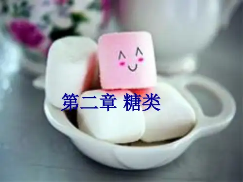 食品化学 第二章 糖类